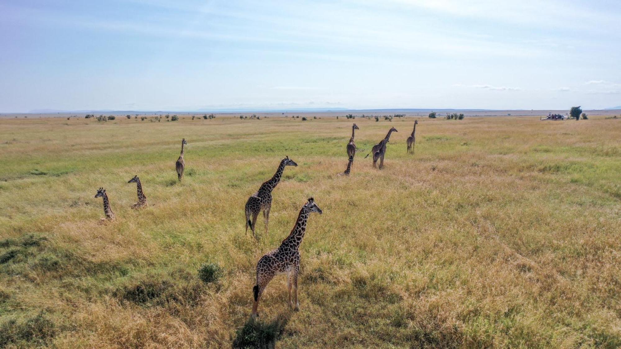 Sentrim Mara Lodge Ololaimutiek Kültér fotó